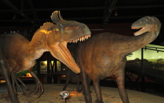 Museum für Natur und Technologie II